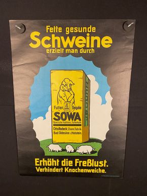 Fette gesunde Schweine - SOWA -Bad Oldesloh - Plakat  65 x 46 cm