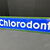 Chlorodont Emailleschild aus der Zeit um 1930 (Ca. 98 x 23 cm)