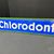 Chlorodont Emailleschild aus der Zeit um 1930 (Ca. 98 x 23 cm)