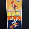 Agfa Photo Goods (Flaches neuzeitliches Emailleschild)