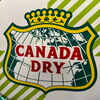 Canady Dry - Ginger Ale - Blechschild  33 x 39 cm - D um 1955