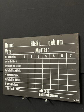 Altes Schild - Schweinezucht - Wurf - geferkelt - Kurios - 35 x 45 cm um 1960